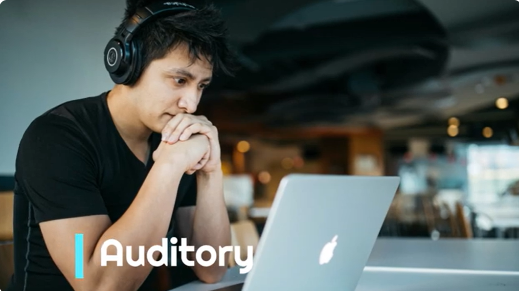 Preview of the learning styles video